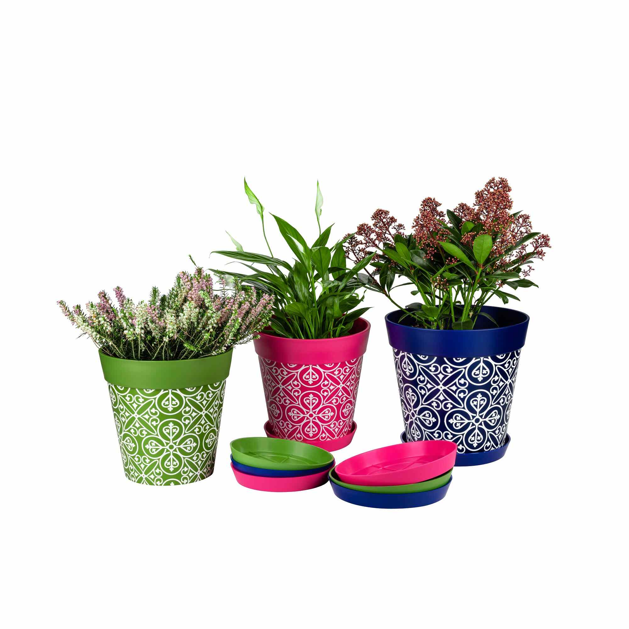A group of Hum Flowerpots with matching saucers