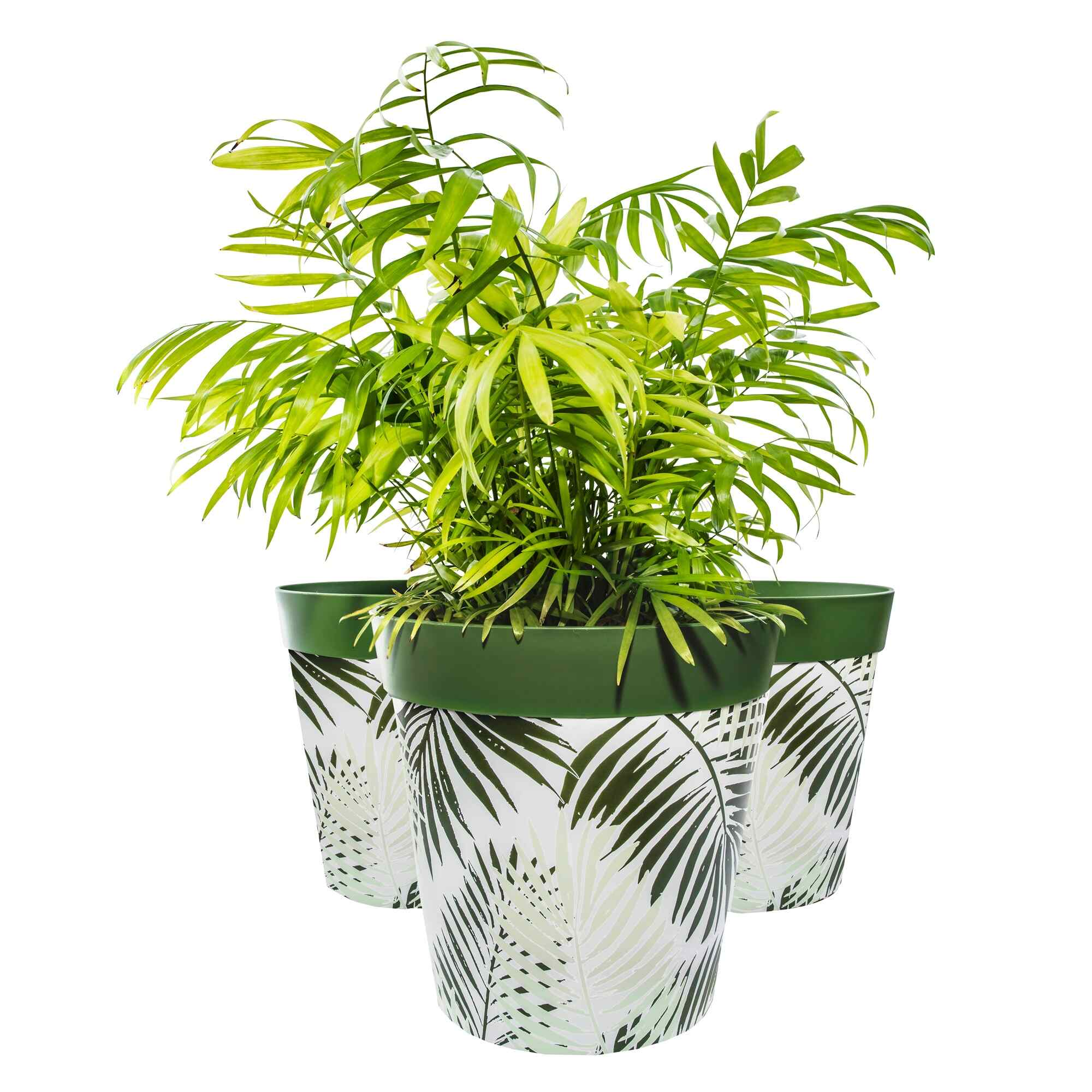 Picture of 3 Planted Large 25cm Green Fern Leaves Plastic Indoor/Outdoor Flowerpots