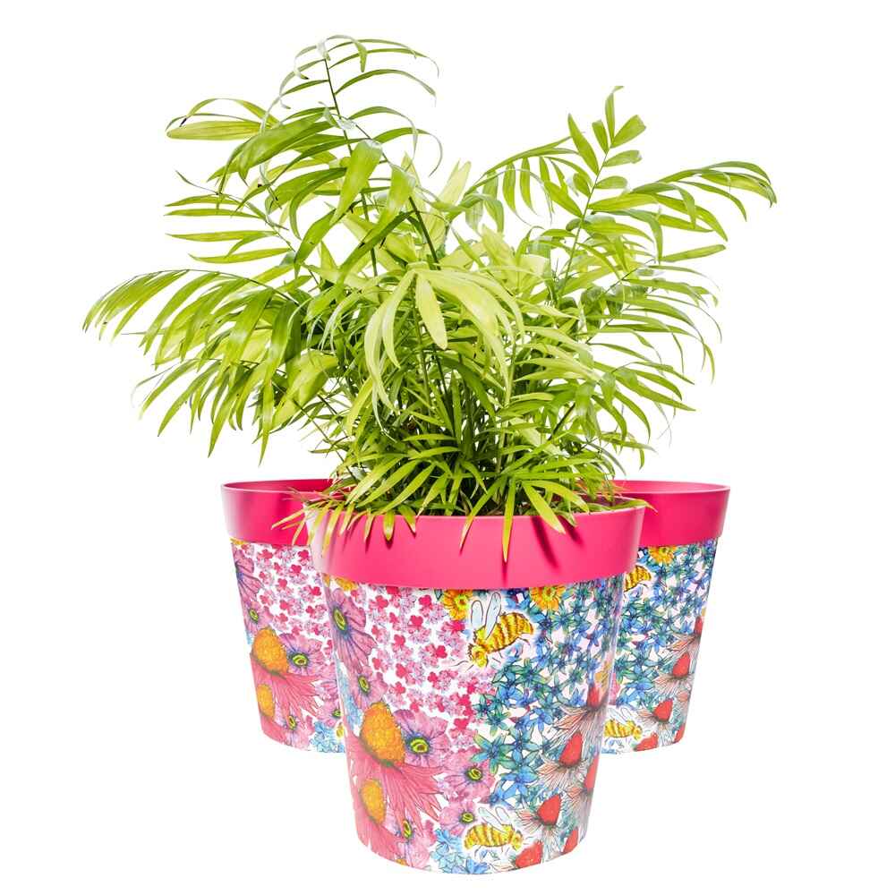 picture of 3 pink patterned plant pots with a fern 