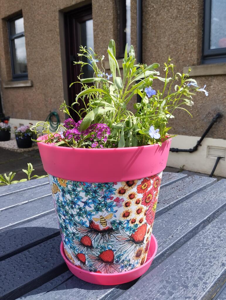 Hum Flowerpots Reviews – Hum Flowerpots